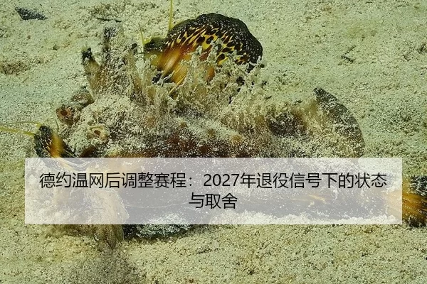 de-yue-wen-wang-hou-tiao-zheng-sai-cheng-nian-tui-yi-xin-hao-xia-de-zhuang-tai-yu-qu-she-2-630.jpg